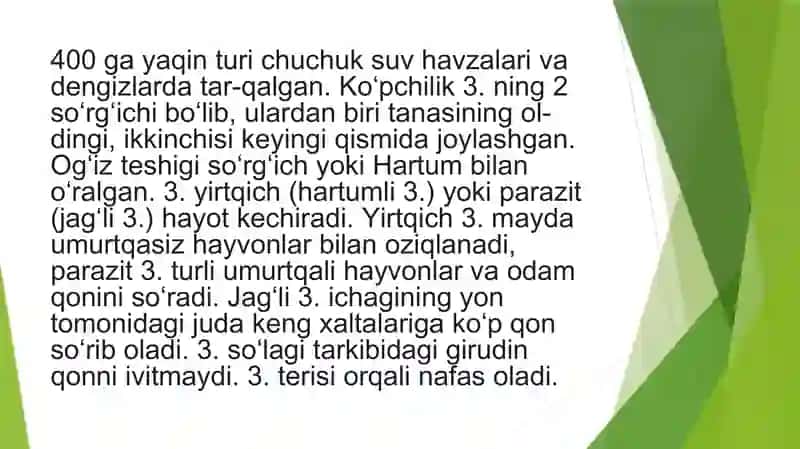 Zuluklar (Hirudinea) 4