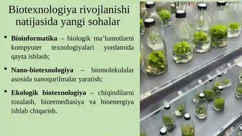 Biotexnologiyaning oziq-ovqat sanoatidagi roli 4