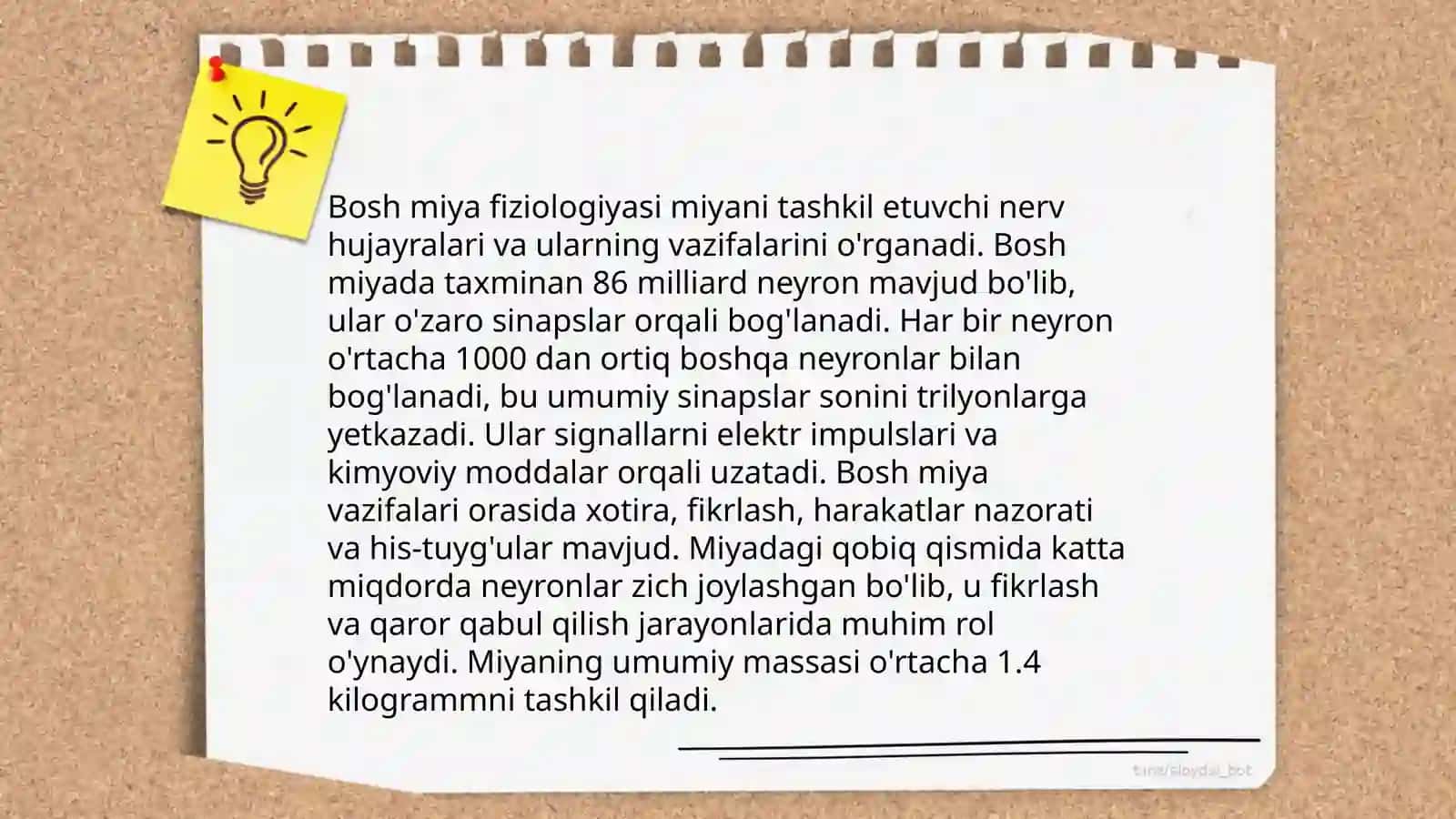 Bosh miya nervlari 4