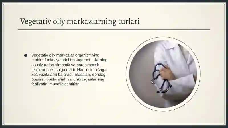 Vegetativ oliy markazlar va ularning funksional ahamiyati 4