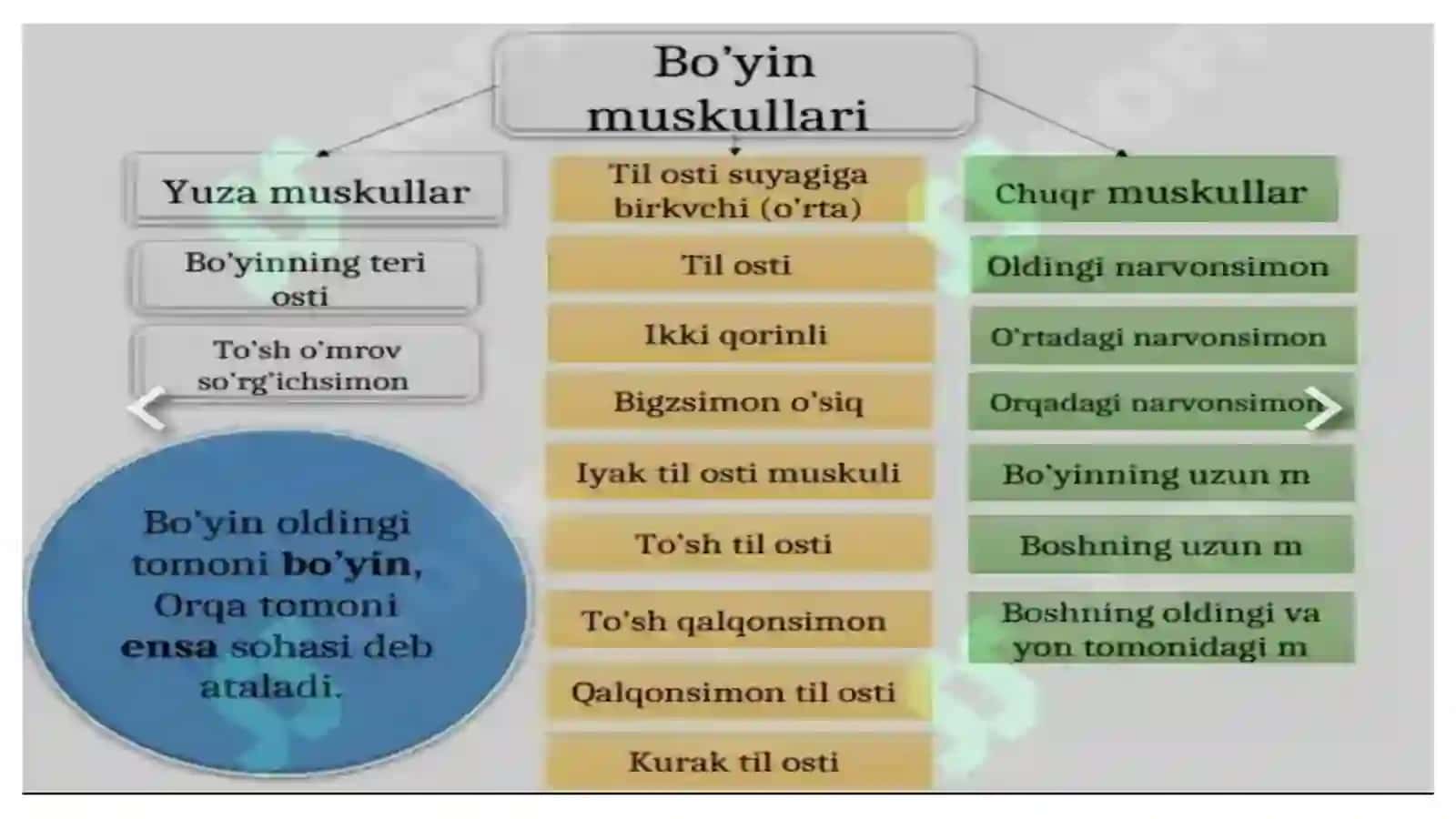 Ko'p tarmoqli tibbiyot texnikumi 4