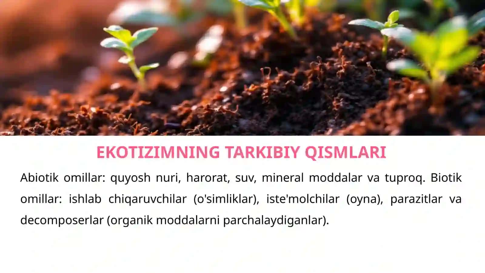 EKOTIZIM NIMA? (EKOSISTEMA) 4