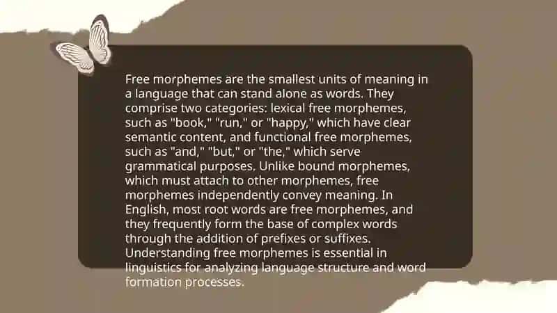 Mophology 4