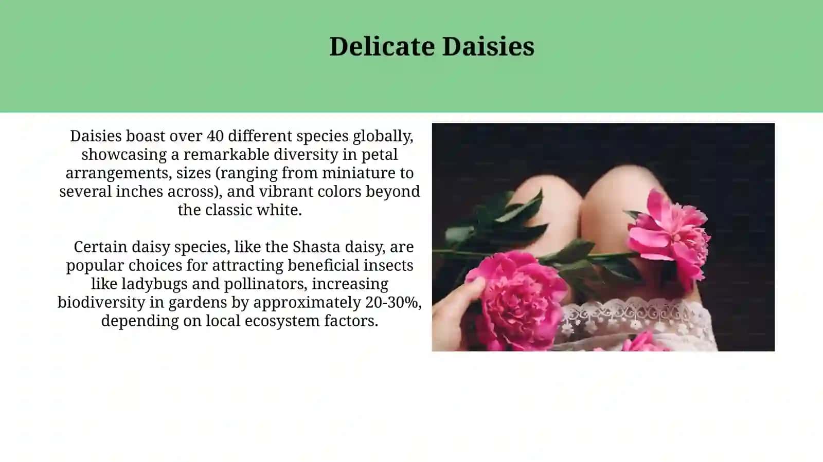 The Allure of Roses 4