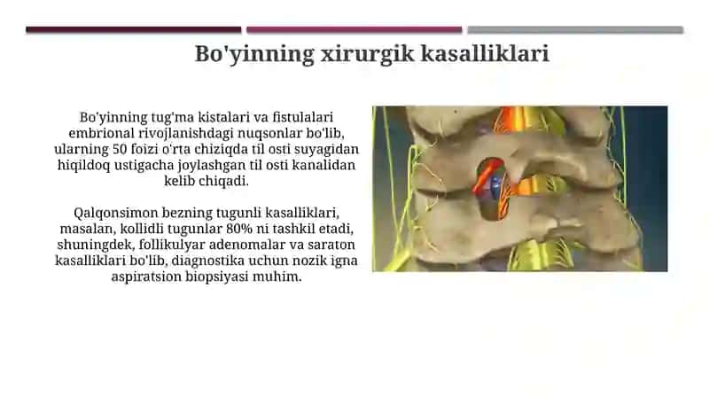 Boʻyin sohasining operativ jarrohligi 4
