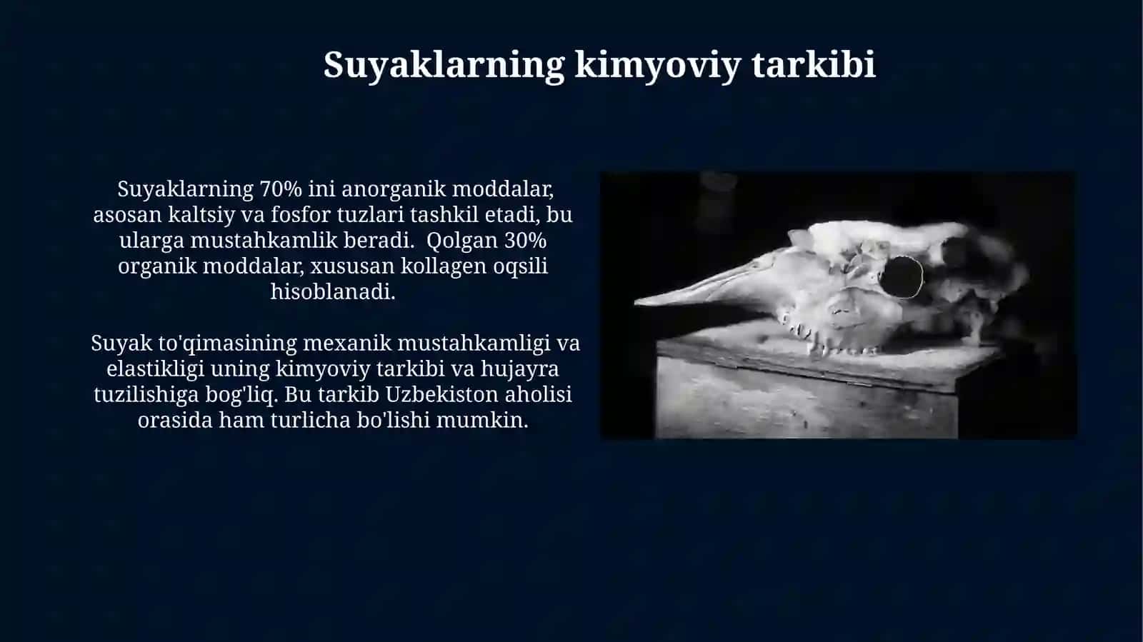 Suyakning tuzilishi 4