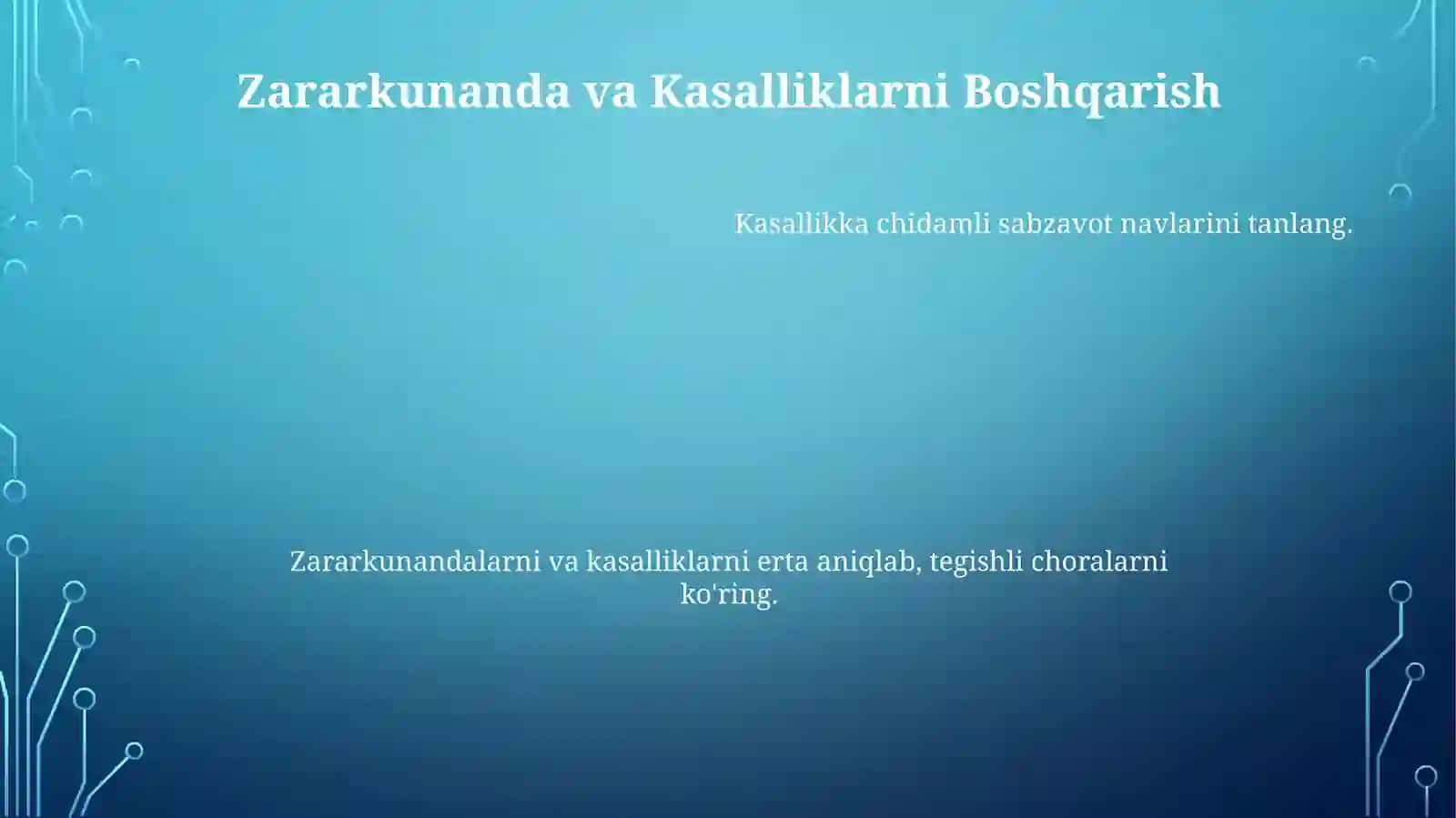 Ertagi sabzi yetishtirish 4