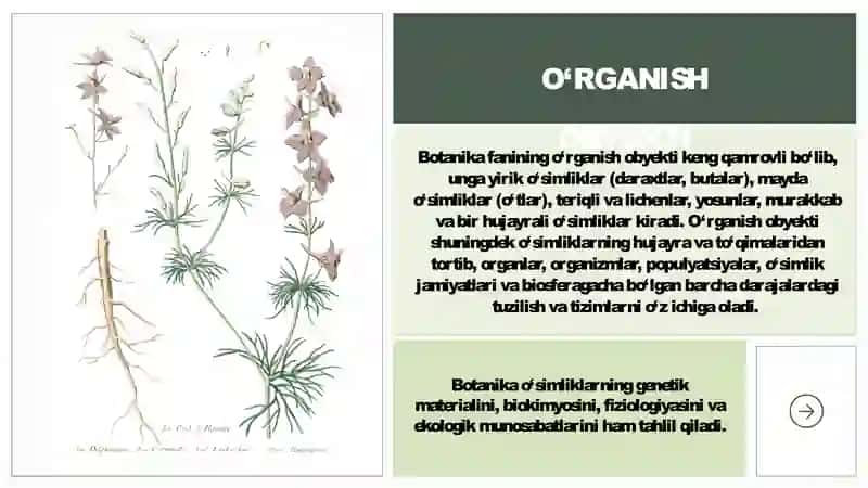 Botanika fanining vazifasi va maqsadi 4