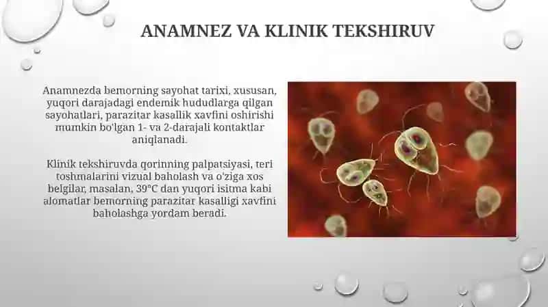 Parazitarkasalliklarningdiagnostikusullari 4