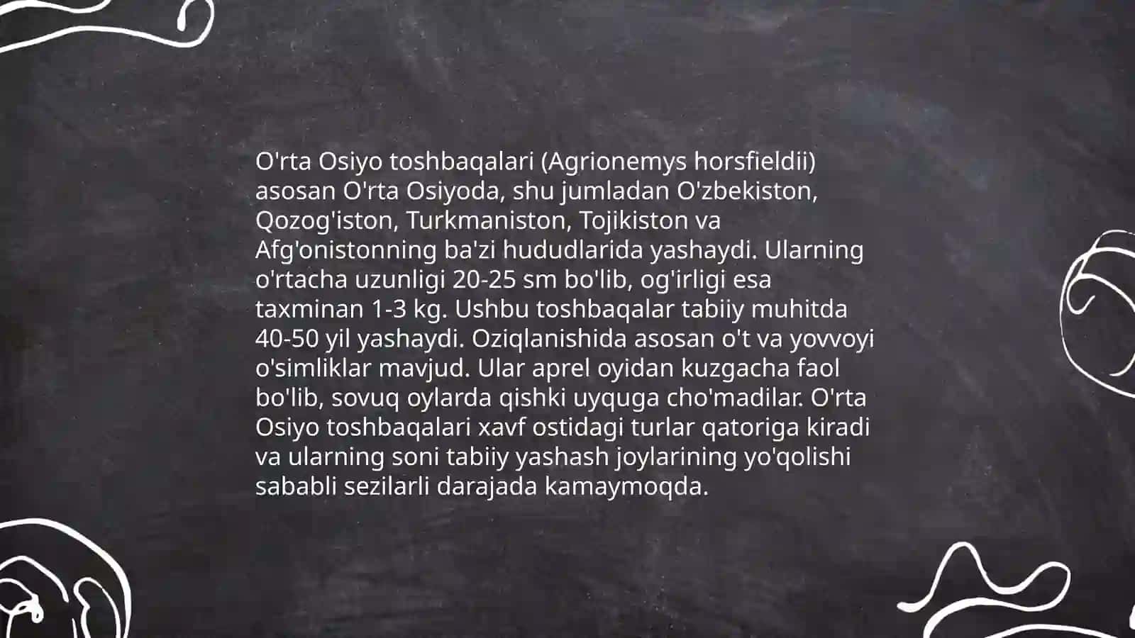 O’rta Osiyo gerpetofaunasining o’ziga xos vakillari 4