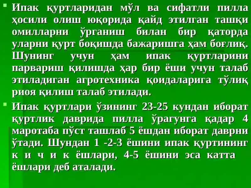 Ипак қуртини боқиш агротехникаси 4
