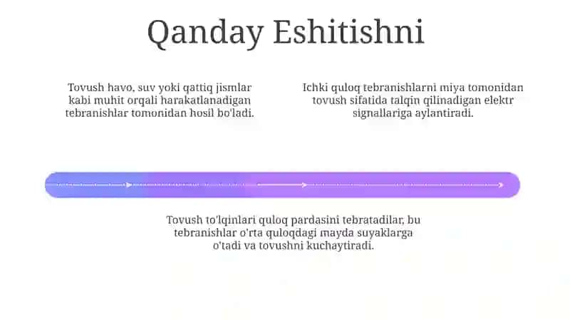 Tovush paylari,tovushning kelib chiqishi,Quloq 4