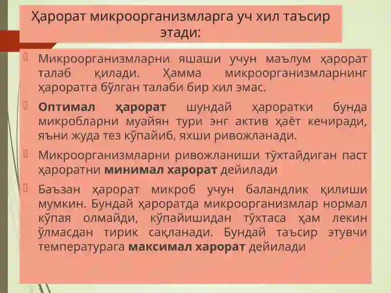 Микроорганизмларга таъсир 4