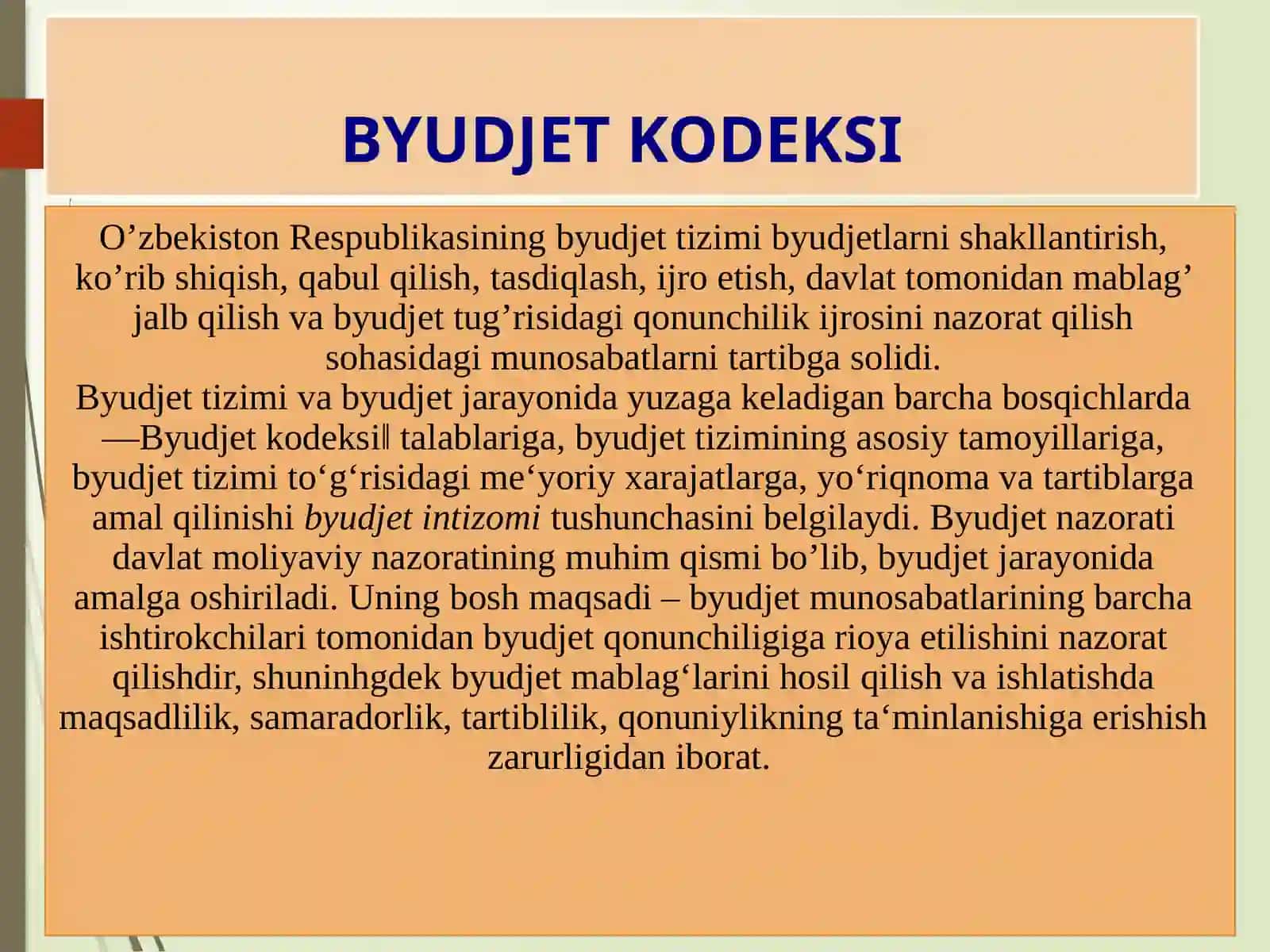BYUDJET NAZORATI 4