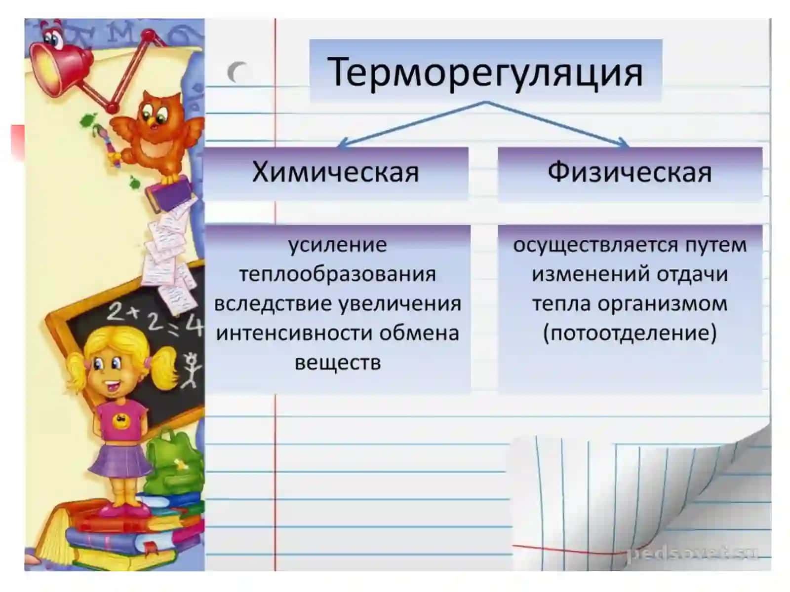 Терморегуляция ва унинг бузилиши 4