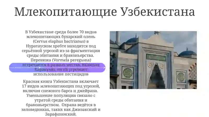 Красная книга Узбекистана 4