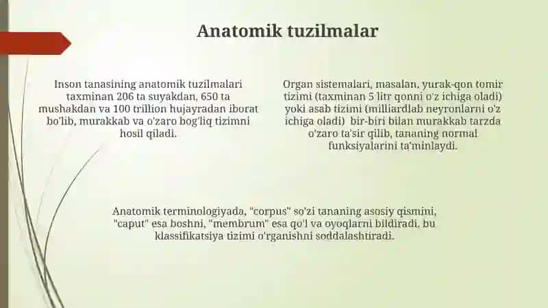 Odam tanasining lotin tilida nomlanishi 4