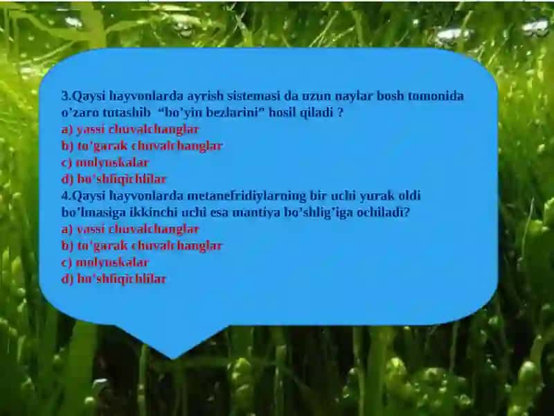 Hayvonlar jinsiy organlarining evolyutsiyasi 4