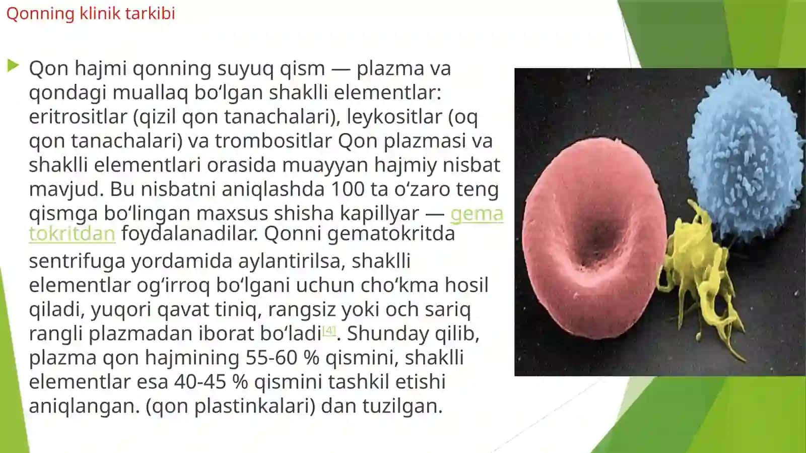 Organizm Ichki Muhitini To'qima Suyuqlik, Qon va Limfa 4
