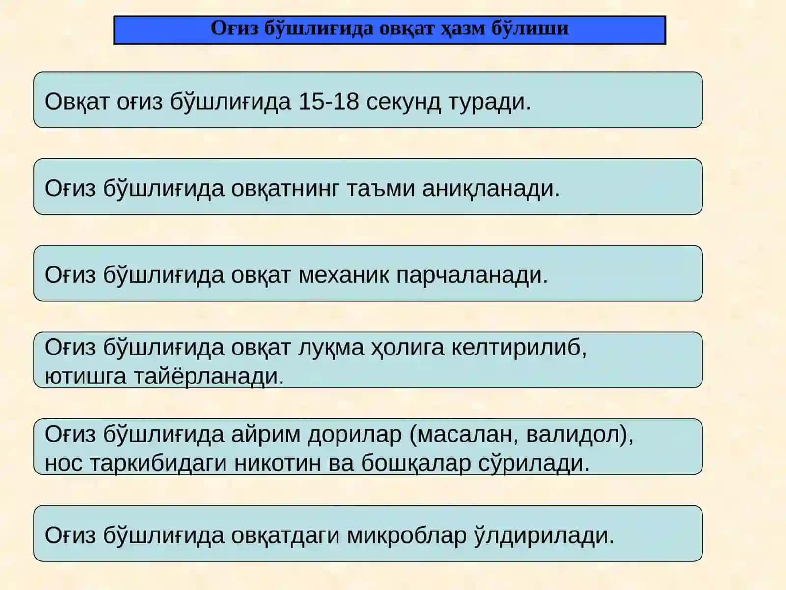 Оғиз бўшлиғининг умумий тузилиши 4