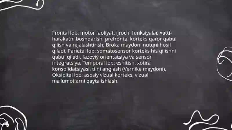 Bosh miya yarim sharlari anatomiyasi 4