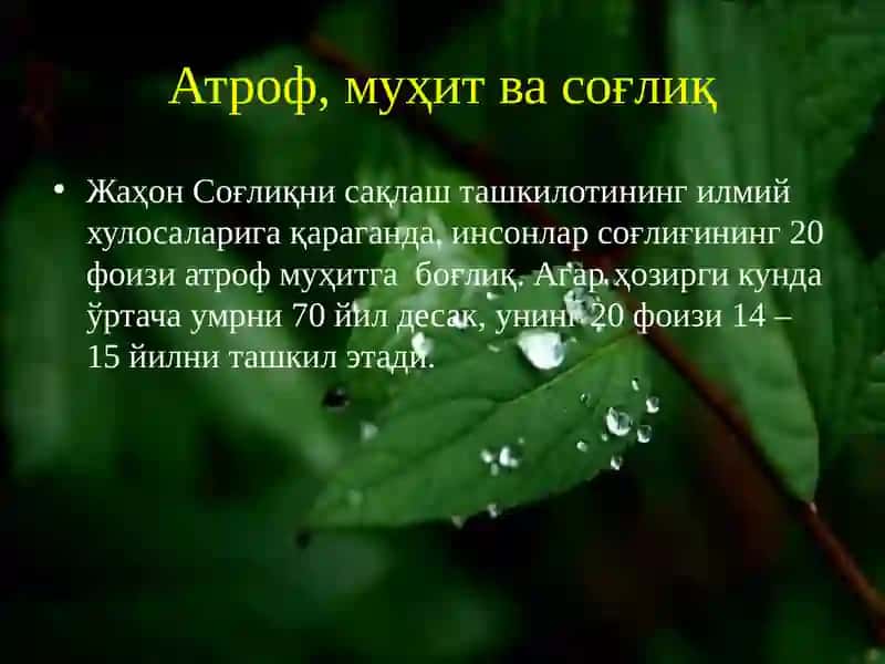 Экология ва соғлиқ 4