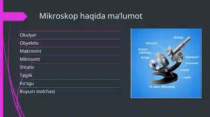 Mikroskop 4