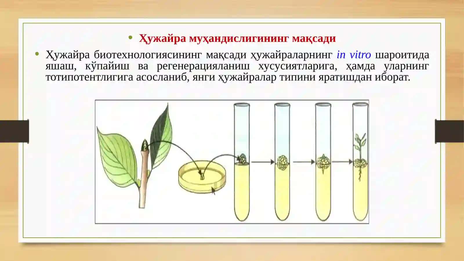 ҲУЖАЙРА МУҲАНДИСЛИГИ 4