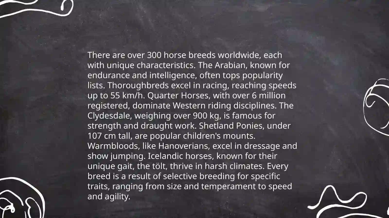 Horses 4