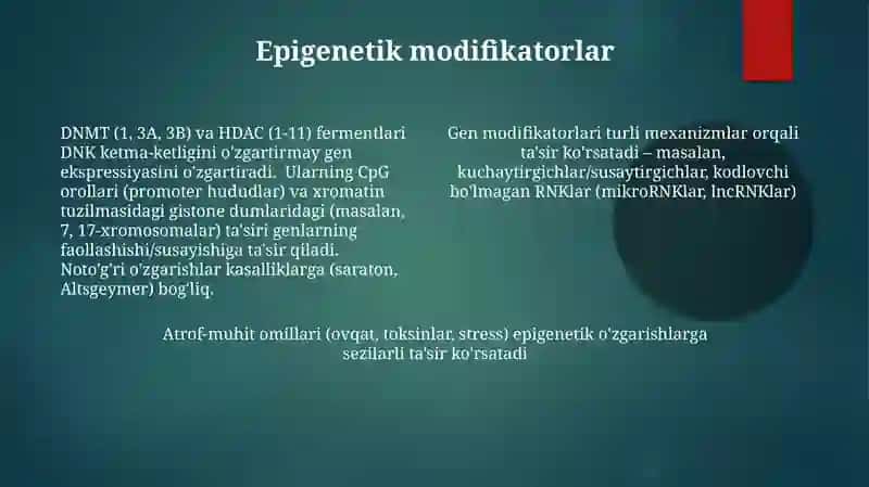 Modifikator genlar taʼsiri 4