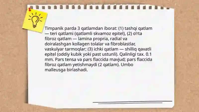 Eshitish tizimi gistologiyasi 4