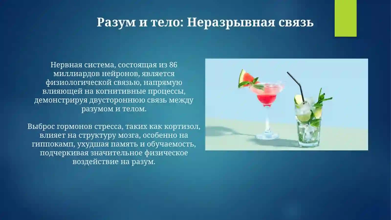 Рижим дия В здоровом теле здоровый дух Своболная тема по направлению 4