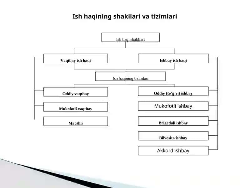 Mehnatni tashkilotish va me'yorlash 4