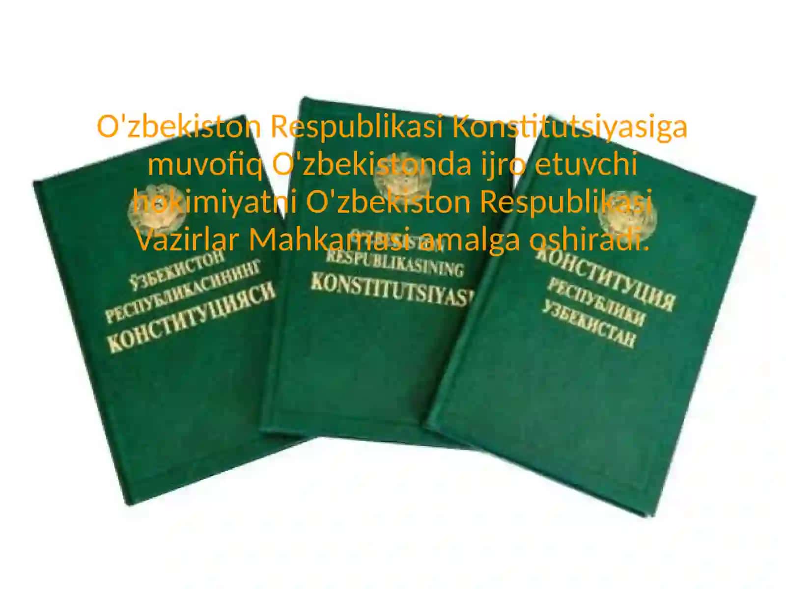 Ijro etuvchi hokimiyat 4