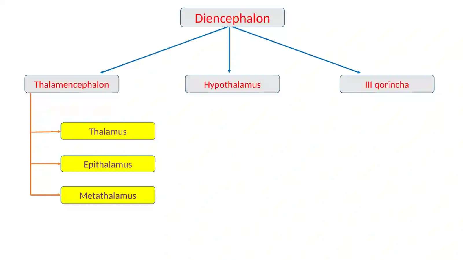 Oraliqmiya 4