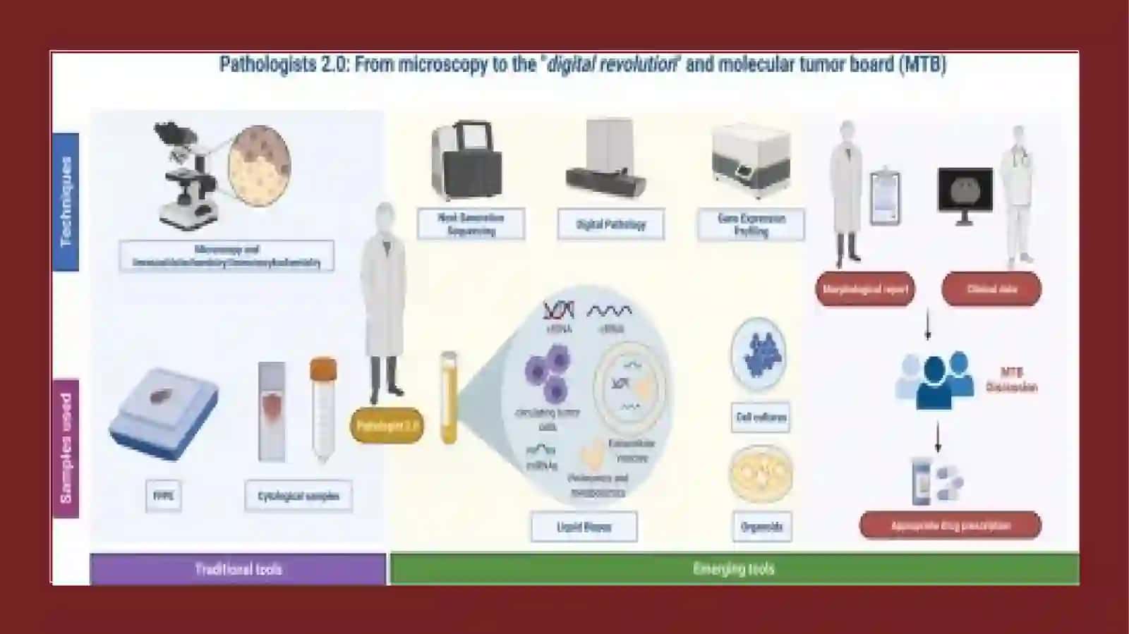 Patologoanatomikdiagnoztuzishqoidalari 4