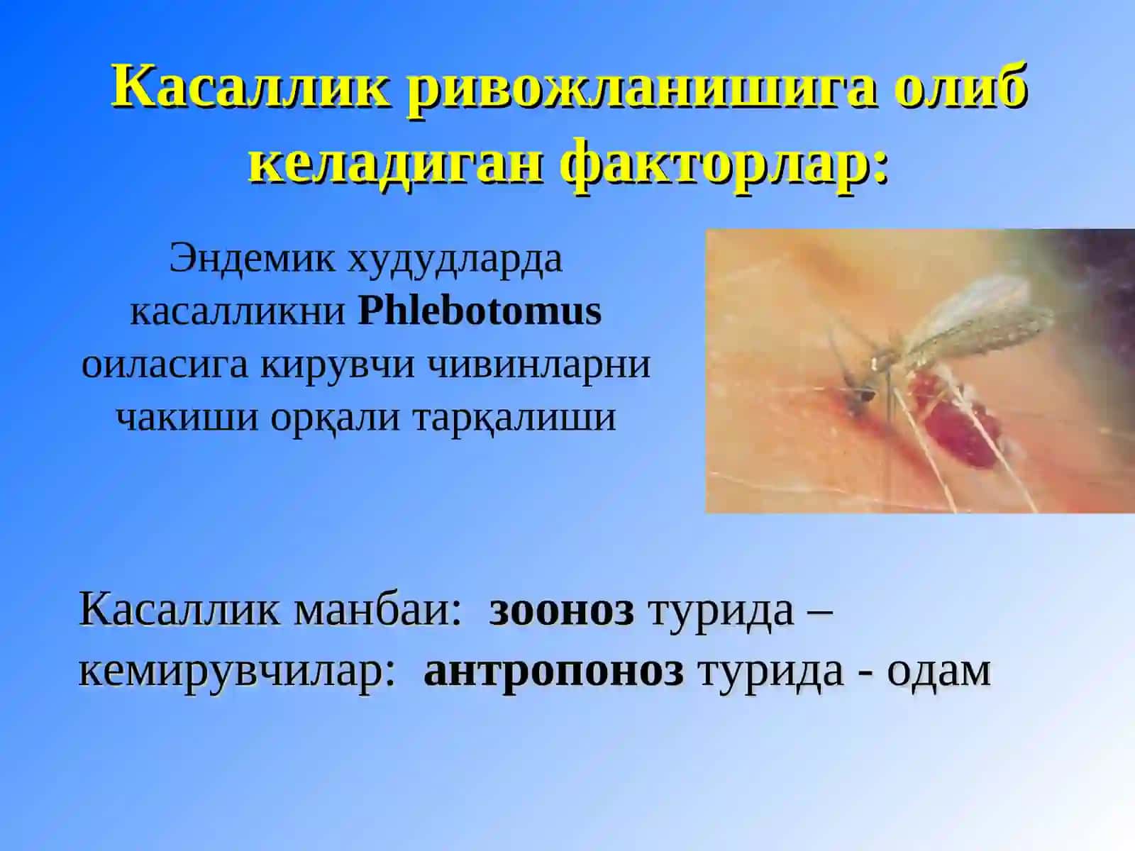 Лейшманиоз. Мохов. Витилиго 4