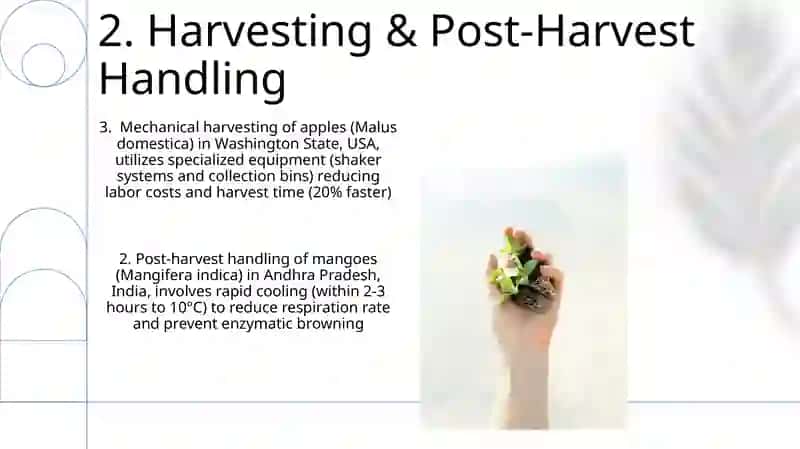 Growing agricultural products 4