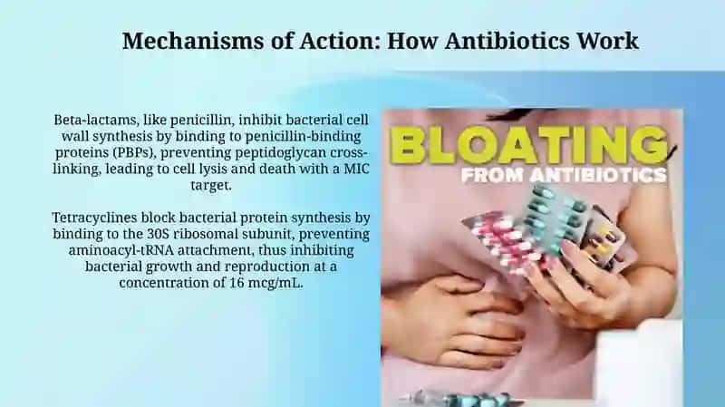 Antibiotics: A Comprehensive Overview 4