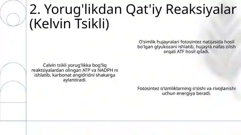O'simlik hujayrasining energetikasi haqida 4