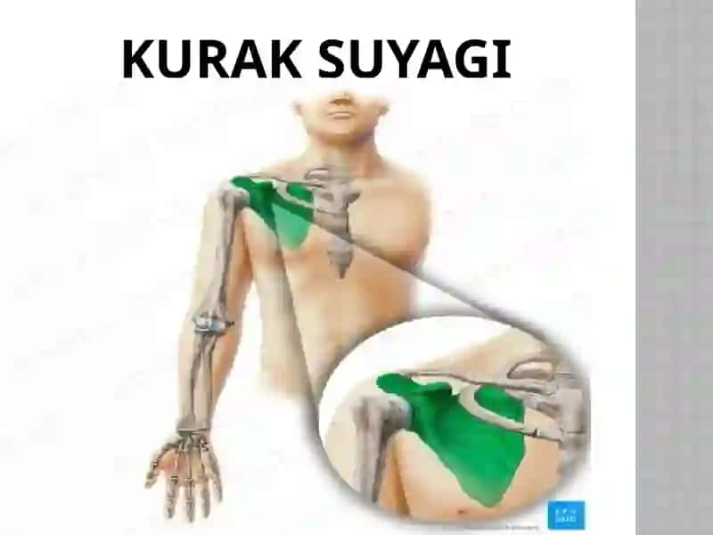 QO’L SUYAKLARI 4