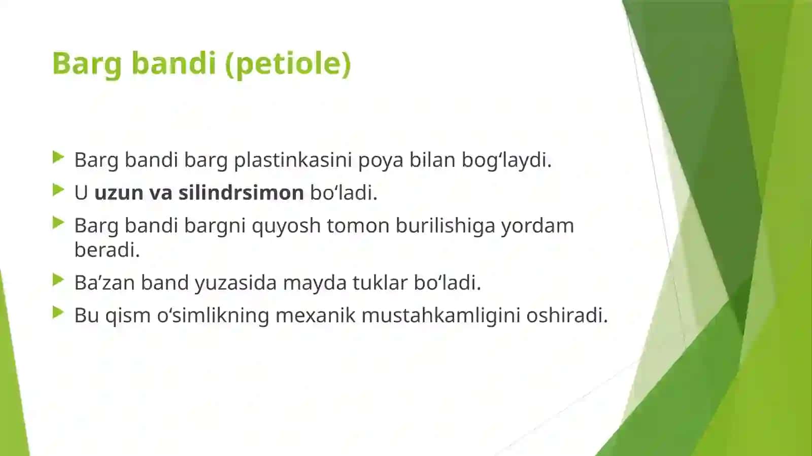 GʻOʻZABARGINING MORFOLOGIK TUZILISHI 4