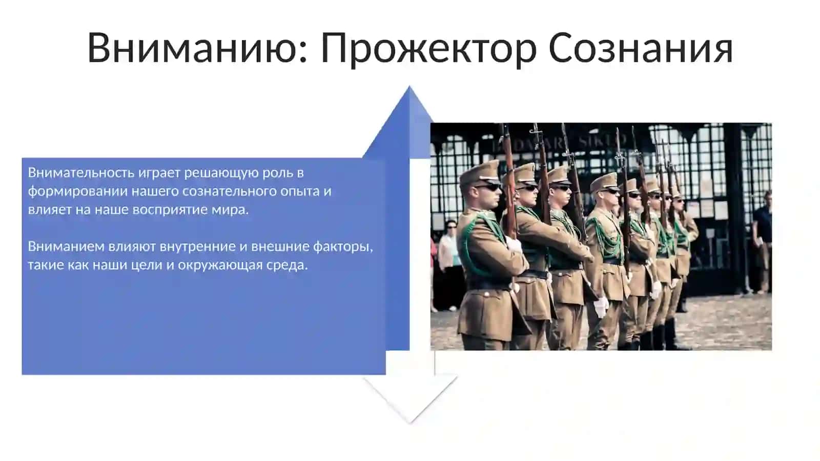 Внимание и ошушение 4