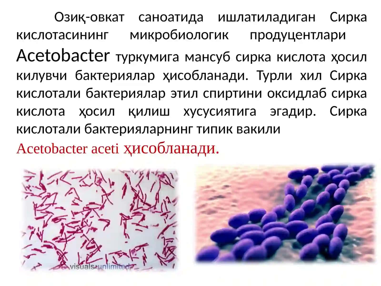 СИРКА КИСЛОТА ОЛИШ ТЕХНОЛОГИЯСИ 4