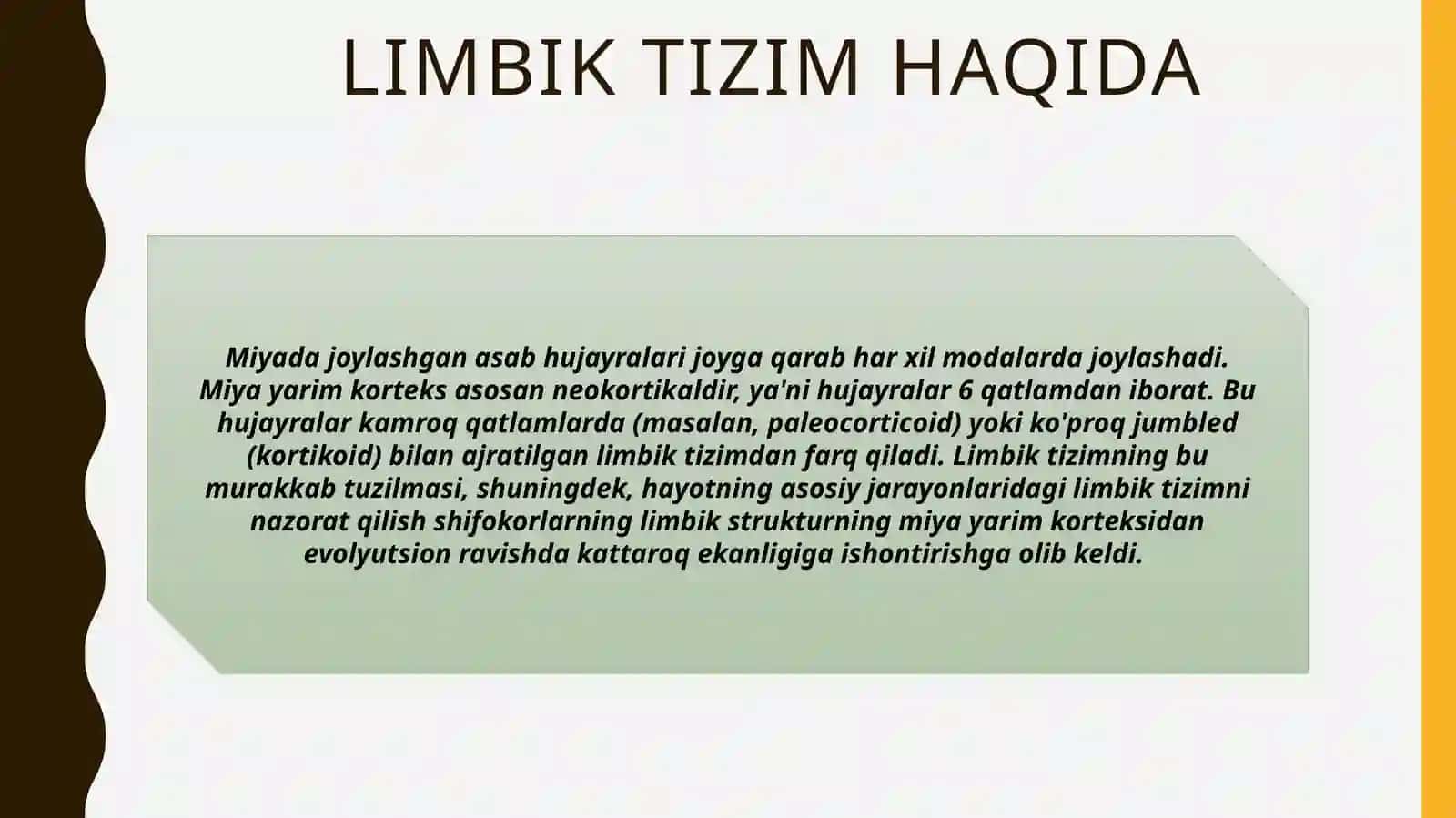 Limbik tizimi va uning genezi 4