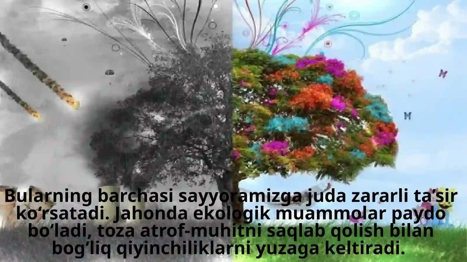 ONA TABIATNI ASRASH – BIZNING BURCHIMIZ 4