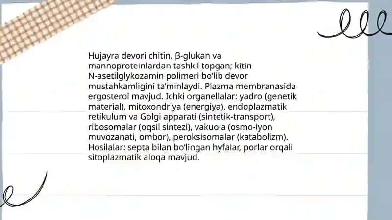 Fundamental tibbiyot talabasi 4