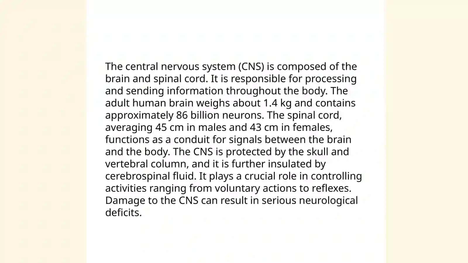 Nervous system 4