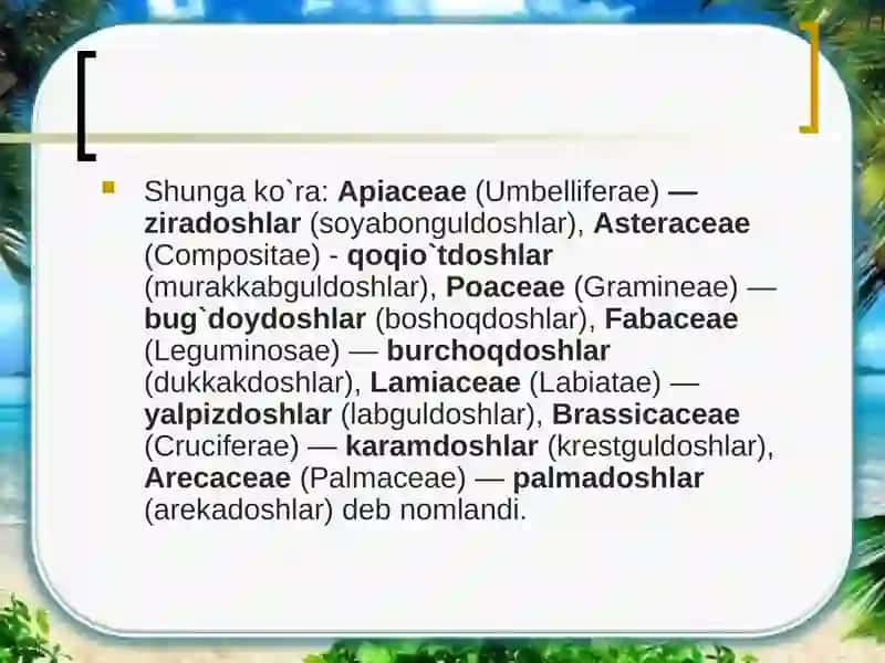 O’simliklar sistematikasi 4