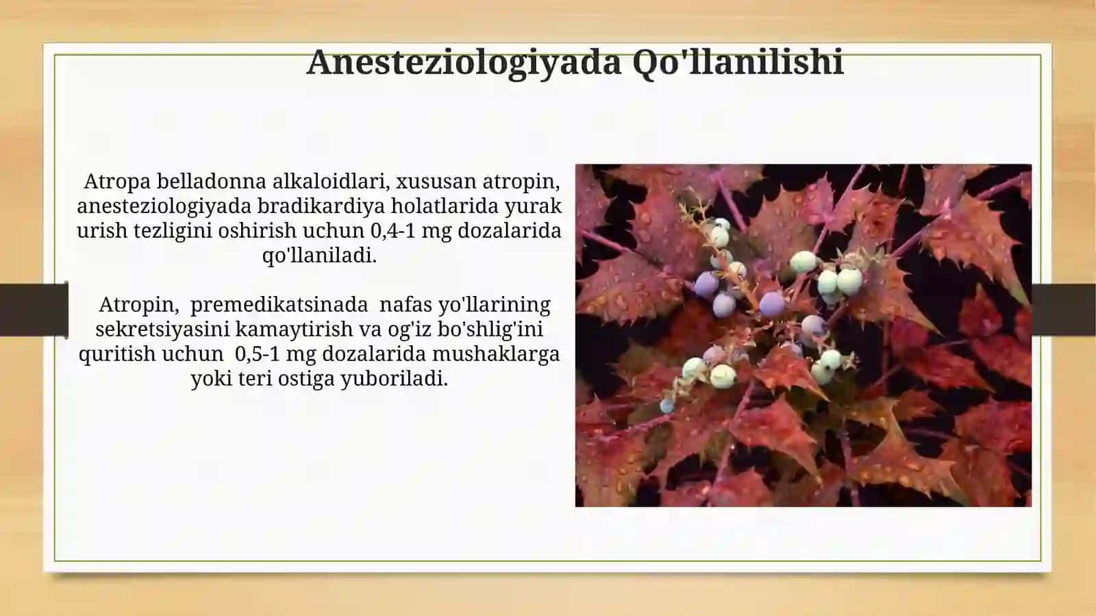 Atropa belladonna alkaloidlari vatibbiyotdaqoʻllanilishi 4